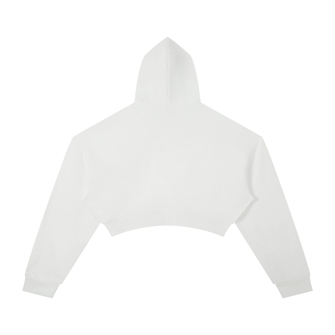 MOST HATED Crop Hoodie
