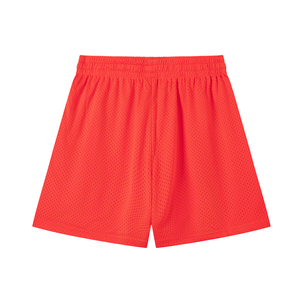 Shorts,mesh,basketball,drawstring,white,blue,purple,green,gray,grey,brown,orange,Sky,army,colorful