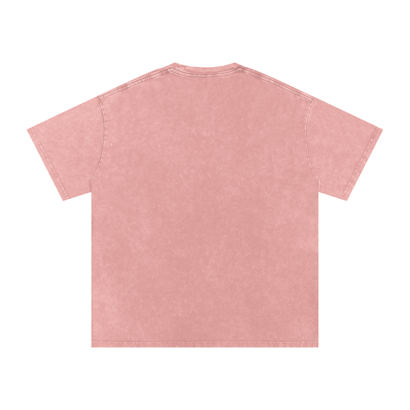 MOST HATED Snow Washed T-shirt